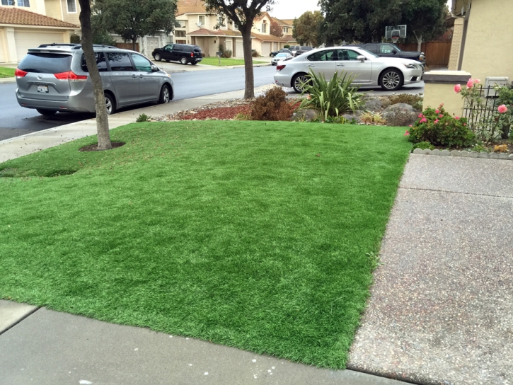 Fake Grass Advance North Carolina Lawn Front Yard