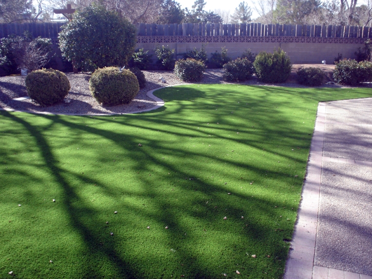 Fake Grass Boger City North Carolina Landscape Front Yard