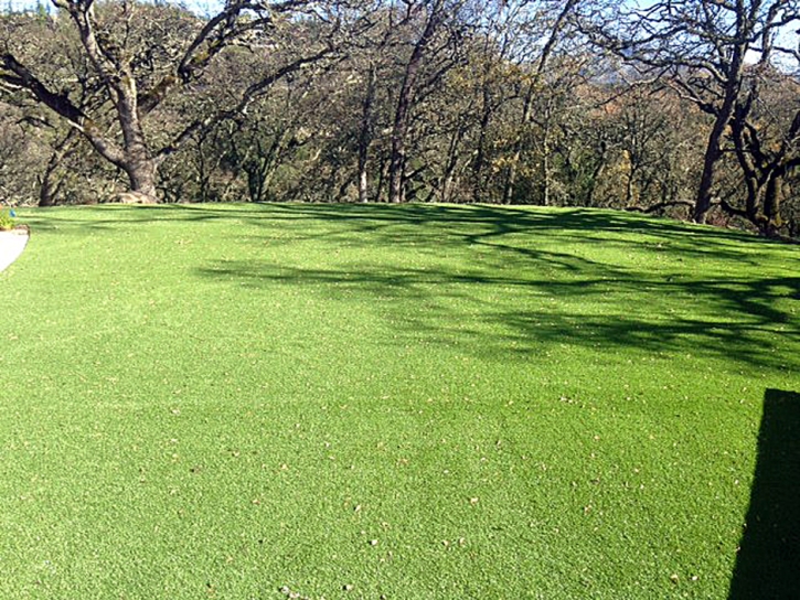 Fake Grass Buffalo South Carolina Lawn Recreational Areas