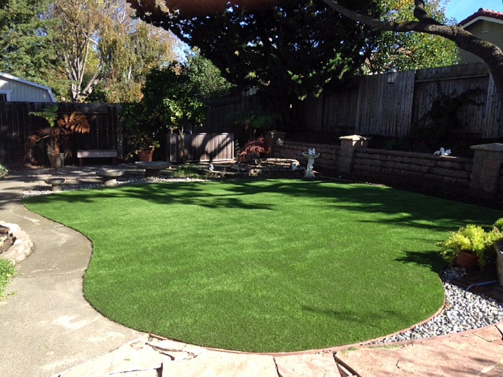 Fake Grass Cedar Rock North Carolina Landscape Back Yard