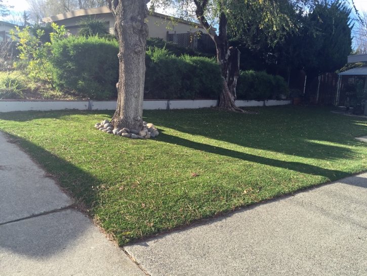 Fake Grass Converse South Carolina Lawn Front Yard