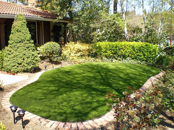 Fake Grass Drexel North Carolina Landscape Back Yard