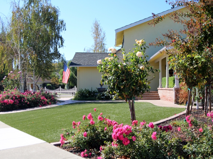 Fake Grass Eureka Mill South Carolina Lawn Front Yard