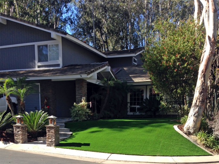 Fake Grass Hudson North Carolina Landscape Front Yard