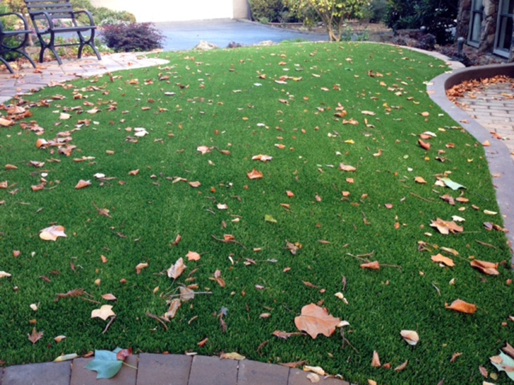 Fake Grass Icard North Carolina Lawn Front Yard