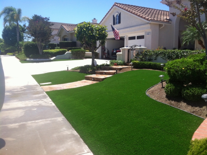 Fake Grass Lesslie South Carolina Lawn Front Yard