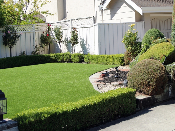 Fake Grass Lilesville North Carolina Lawn Front Yard