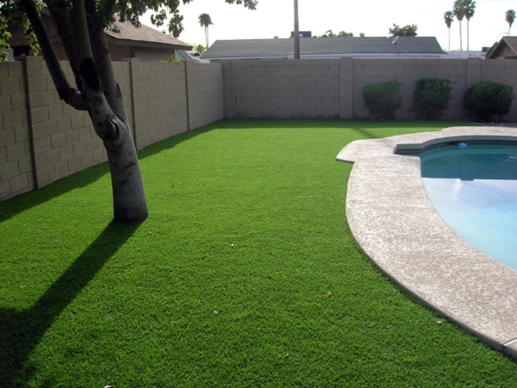 Fake Grass Lowrys South Carolina Lawn Swimming Pools Back