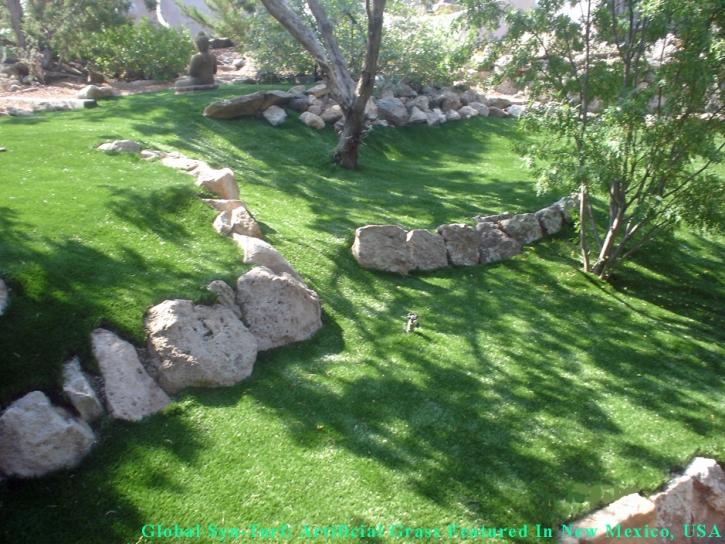 Fake Grass Matthews North Carolina Landscape Pavers Commercial