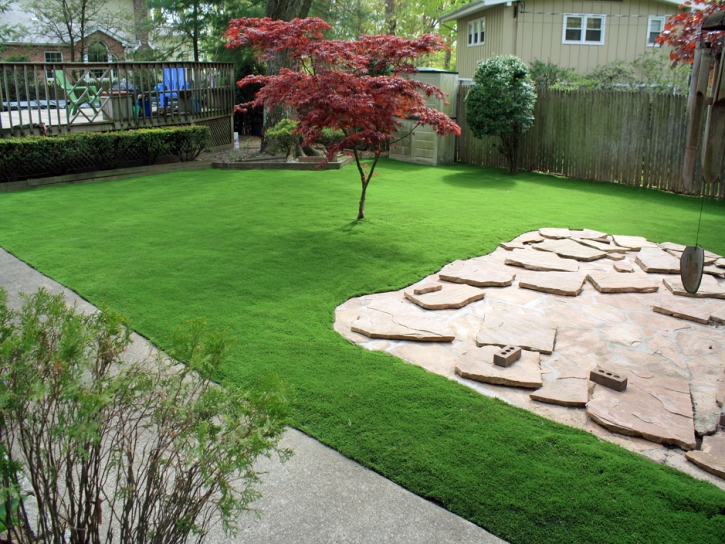 Fake Grass McConnells South Carolina Landscape Back Yard