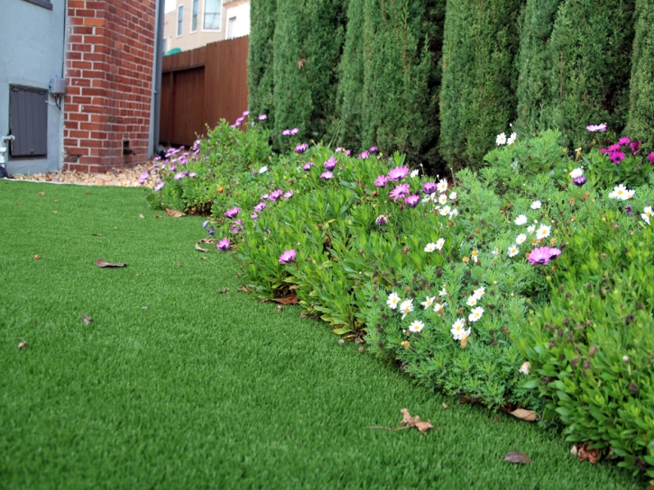 Fake Grass McFarlan North Carolina Lawn Front Yard