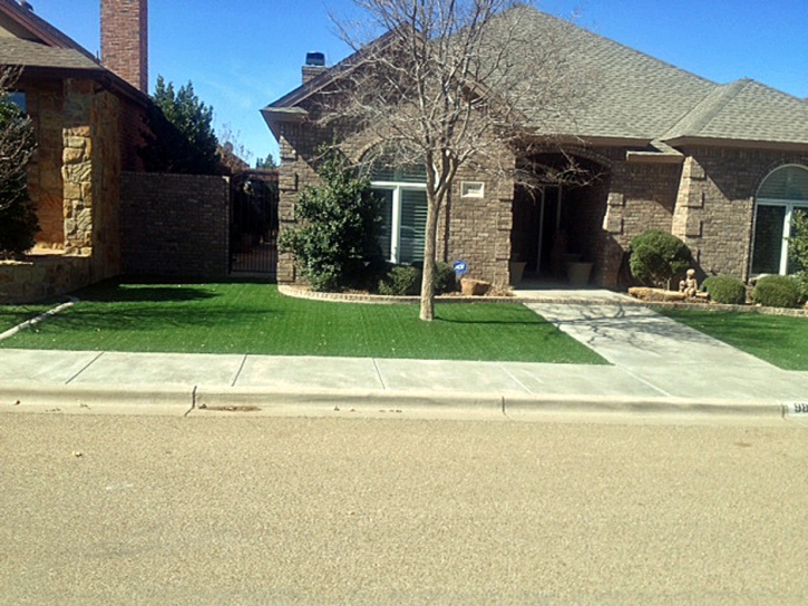 Fake Grass Mount Croghan South Carolina Lawn Front Yard