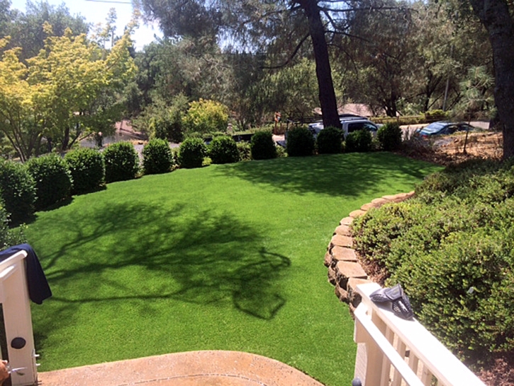 Fake Grass Mount Gilead North Carolina Lawn Back Yard