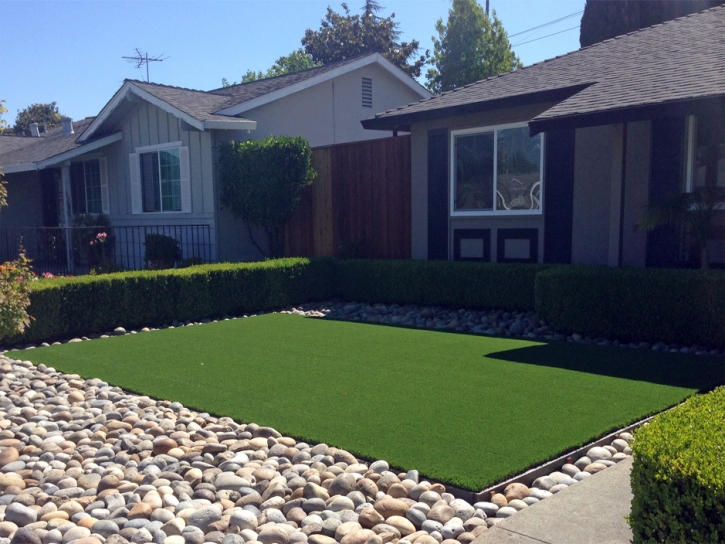 Fake Grass Riverview South Carolina Landscape Front Yard