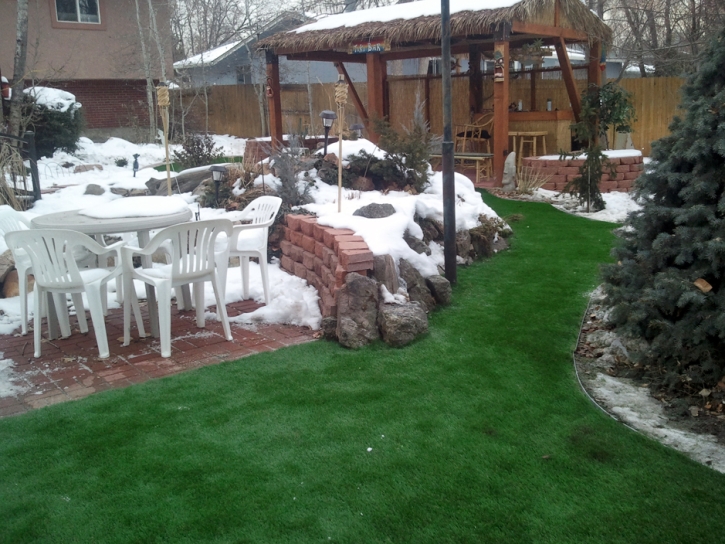 Fake Grass Stallings North Carolina Lawn Back Yard Cold