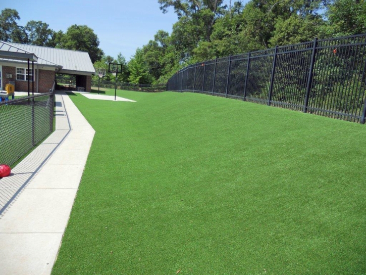 Fake Grass Stanfield North Carolina Lawn Commercial Landscape