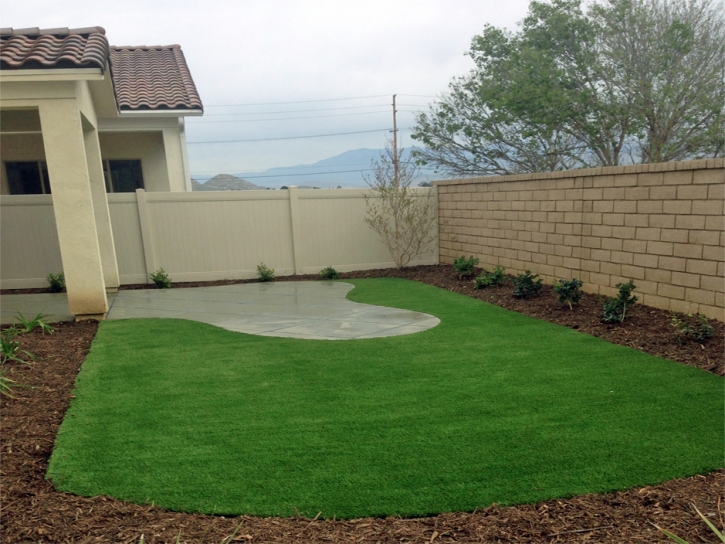 Fake Grass Star North Carolina Landscape Back Yard