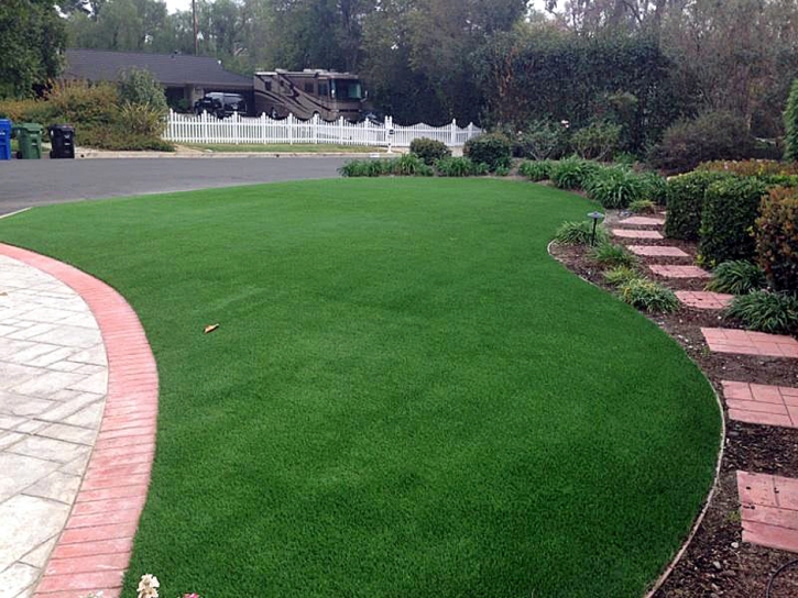 Fake Grass Tryon North Carolina Landscape Front Yard