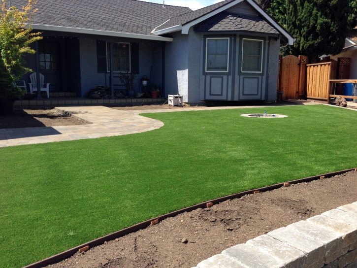 Fake Grass Westport North Carolina Landscape Front Yard