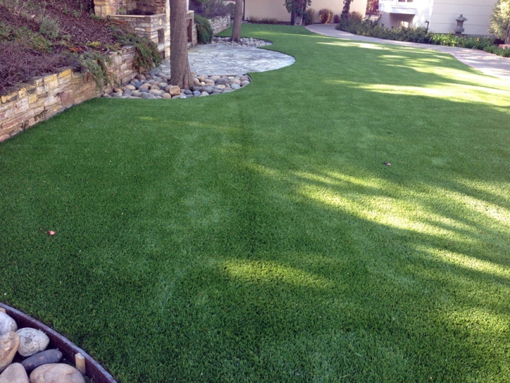 Fake Pet Grass Lattimore North Carolina Installation Back