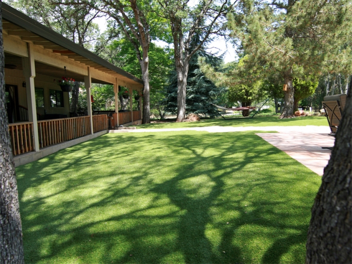 Fake Pet Grass White Plains North Carolina Installation Back