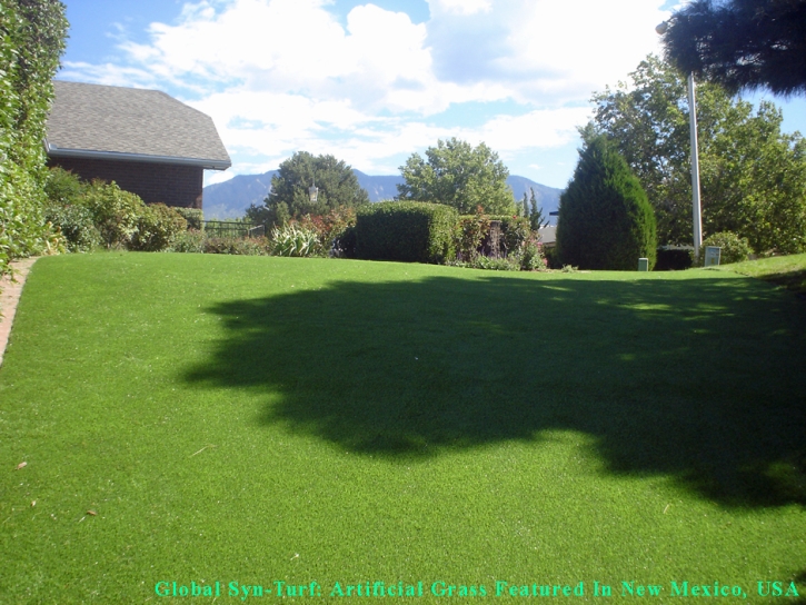 Fake Pet Turf Mount Holly North Carolina Installation Back