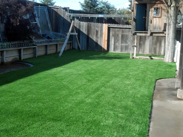 Fake Turf Blacksburg South Carolina Lawn Back Yard