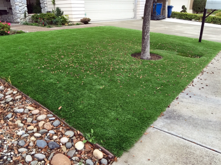 Fake Turf Carlisle South Carolina Lawn Front Yard