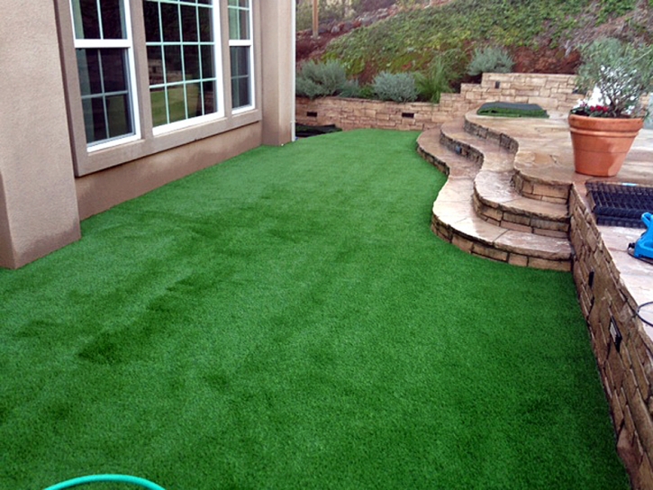 Fake Turf Glendale South Carolina Landscape Back Yard