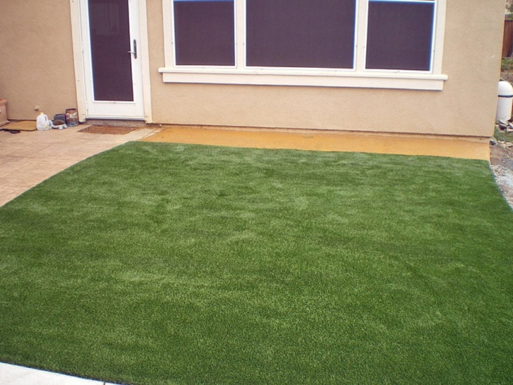 Fake Turf Jonesville South Carolina Lawn Back Yard