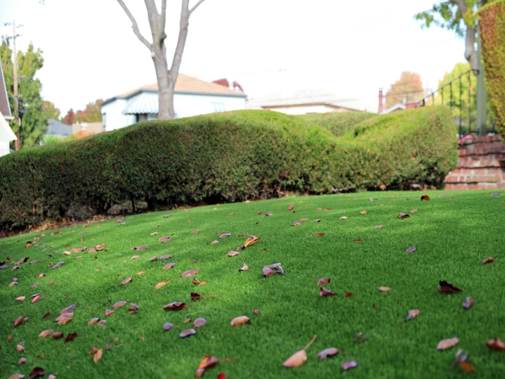 Fake Turf Love Valley North Carolina Landscape Front Yard