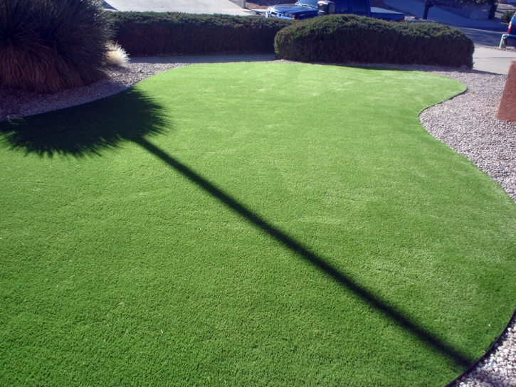 Fake Turf Pumpkin Center North Carolina Lawn Front Yard