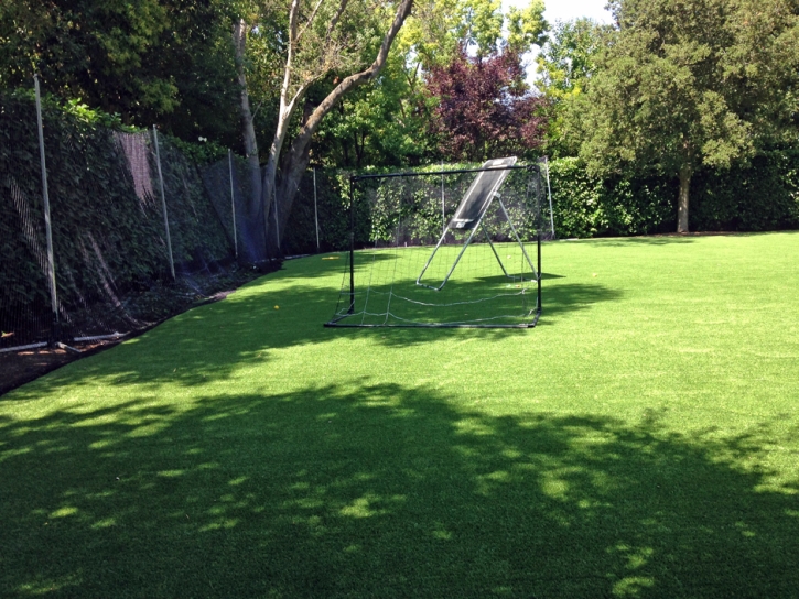 Fake Turf Sports Fields Dellview North Carolina Back Yard