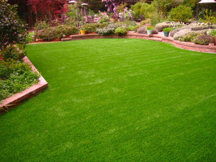 Fake Turf Springdale South Carolina Lawn Back Yard