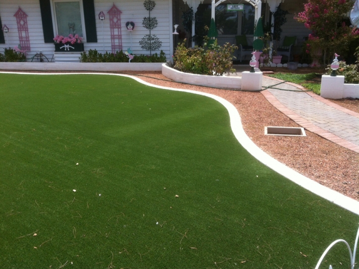 Fake Turf Stanley North Carolina Landscape Front Yard