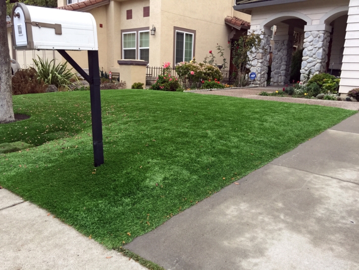 Fake Turf Valdese North Carolina Landscape Front Yard