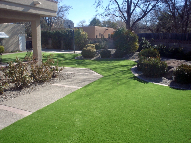 Fake Turf Weddington North Carolina Landscape Front Yard