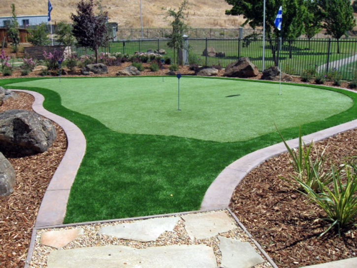 Golf Putting Greens Fort Lawn South Carolina Artificial Grass