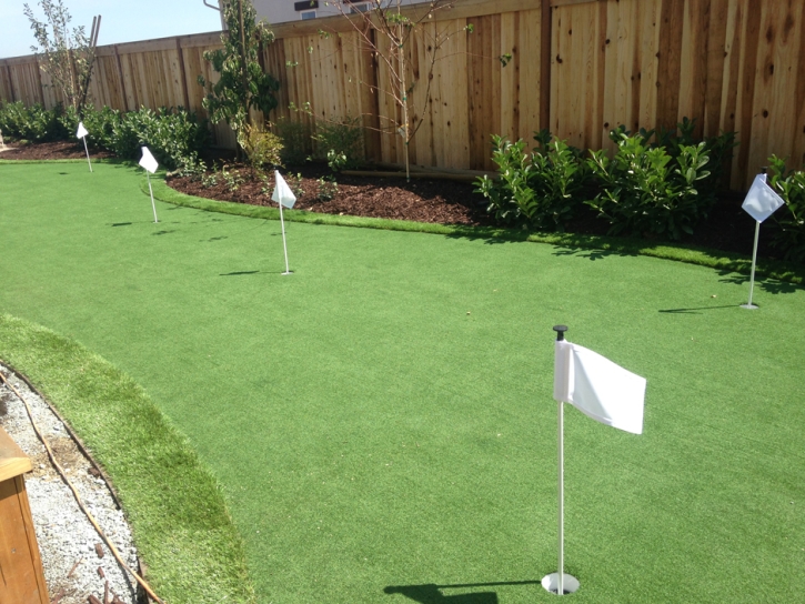 Golf Putting Greens Lesslie South Carolina Artificial Grass