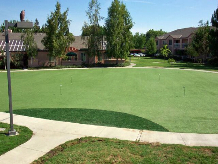 Golf Putting Greens Lowrys South Carolina Artificial Turf