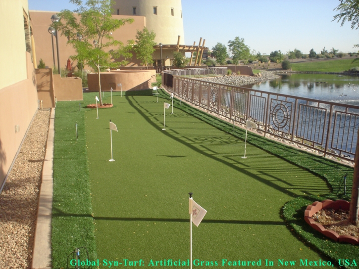 Golf Putting Greens Pineville North Carolina Synthetic Grass