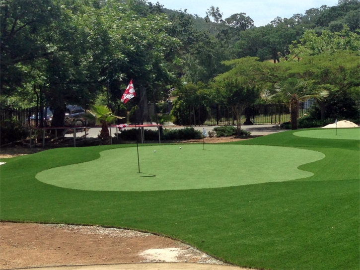 Putting Greens Forest City North Carolina Artificial Grass