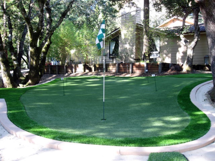 Putting Greens Lowrys South Carolina Artificial Grass Back