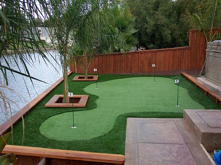 Putting Greens Richburg South Carolina Fake Grass Back Yard