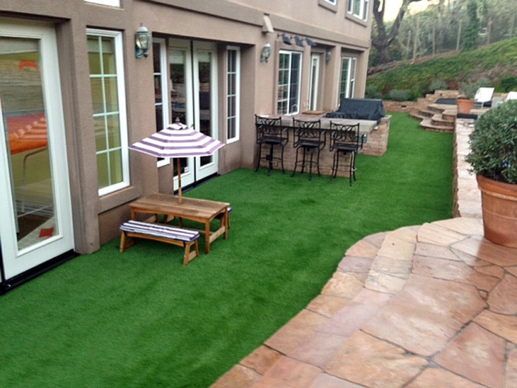 Synthetic Grass Buffalo South Carolina Landscape Back Yard