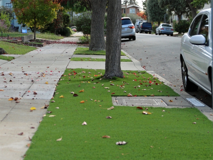 Synthetic Grass Caroleen North Carolina Lawn Front Yard