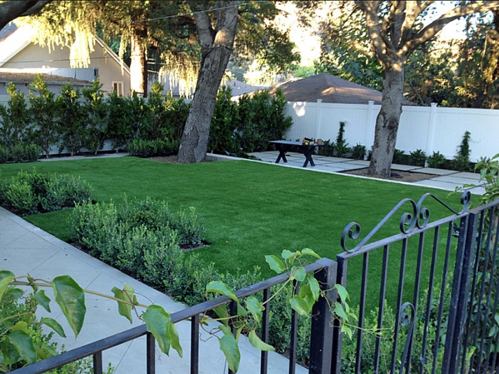 Synthetic Grass Central Pacolet South Carolina Lawn Front