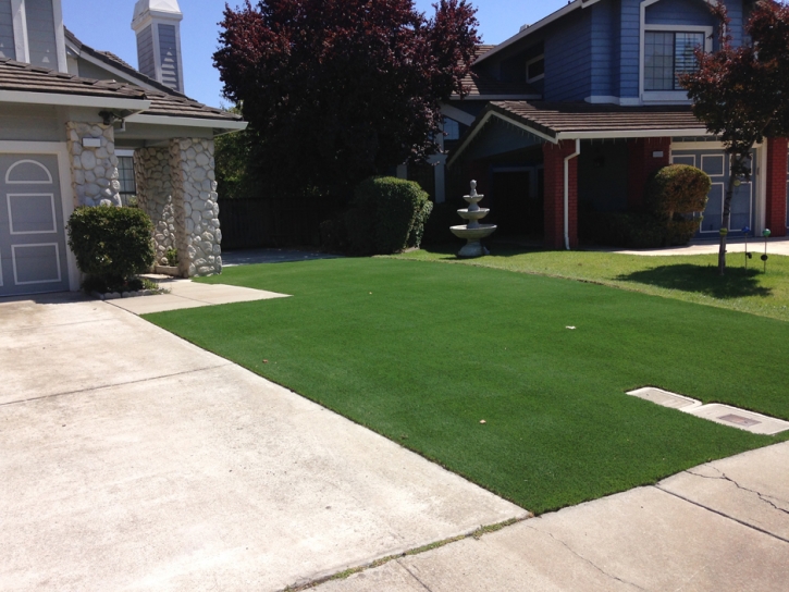 Synthetic Grass Clover South Carolina Landscape Front Yard