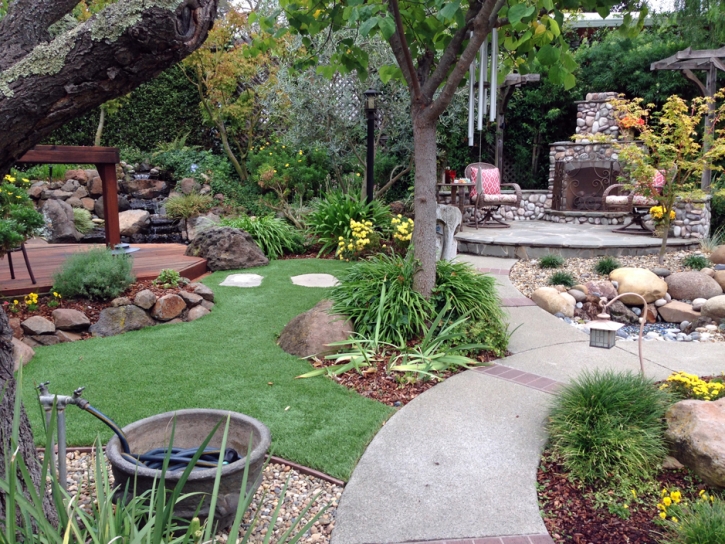 Synthetic Grass Denton North Carolina Lawn Back Yard