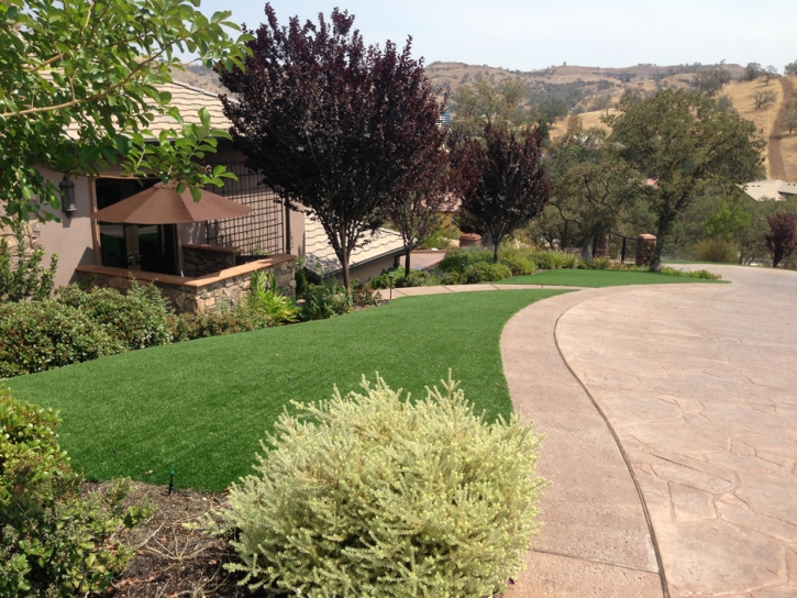 Synthetic Grass Denver North Carolina Lawn Front Yard